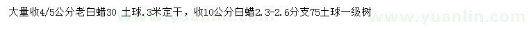 求購4、5公分老白蠟、10公分白蠟