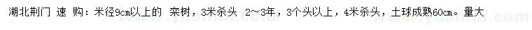 求購米徑9公分以上欒樹