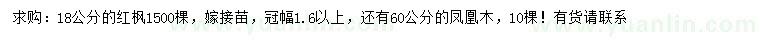 求購18公分紅楓