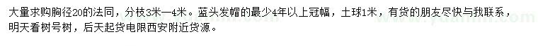 求購胸徑20公分法桐