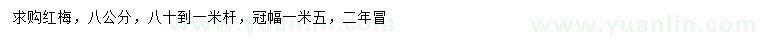 求購8公分紅梅