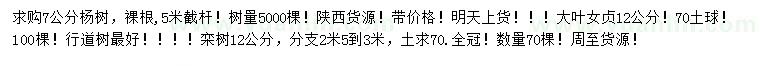 求購楊樹、大葉女貞、欒樹