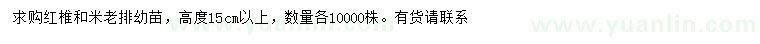 求購高度15公分以上紅椎、米老排幼苗