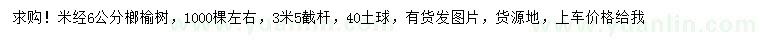 求購米徑6公分榔榆樹