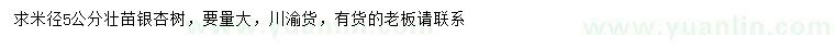 求購米徑5公分銀杏