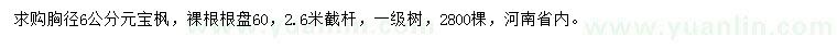 求購胸徑6公分元寶楓