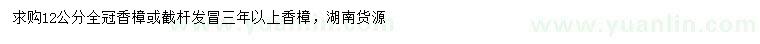 求購12公分香樟