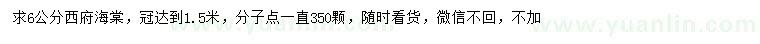 求購6公分西府海棠