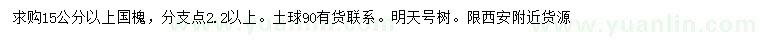 求購15公分以上國槐
