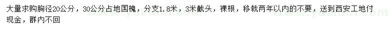 求購(gòu)胸徑20、30公分占地國(guó)槐