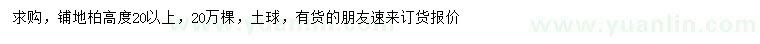 求購(gòu)高度20公分以上鋪地柏