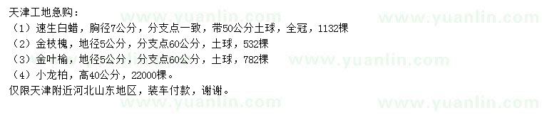 求購速生白蠟、金枝槐、金葉榆等