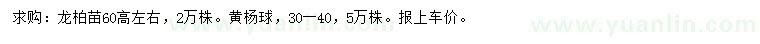 求購高60公分左右柏苗、30-40公分黃楊球