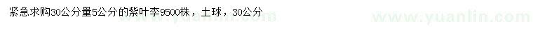 求購5公分紫葉李
