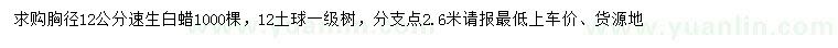 求購胸徑12公分速生白蠟