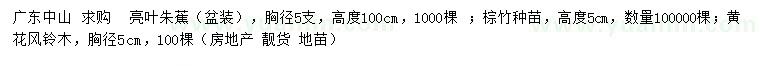 求購亮葉朱蕉、棕竹種苗、黃花風(fēng)鈴木