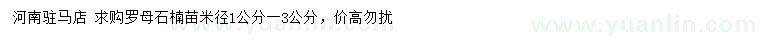 求購(gòu)米徑1-3公分羅母石楠苗