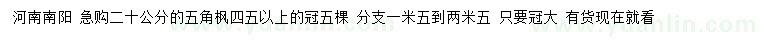 求購20公分五角楓