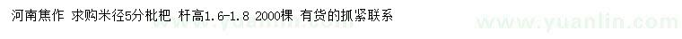 求購米徑5分枇杷