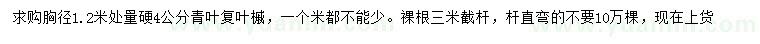 求購(gòu)胸徑1.2米處量硬4公分青葉復(fù)葉槭