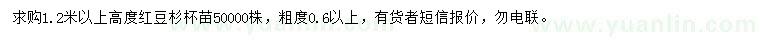 求購(gòu)高度1.2米以上紅豆杉