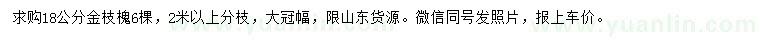 求購18公分金枝槐