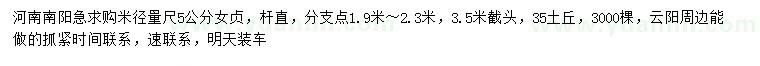 求購米徑5公分女貞