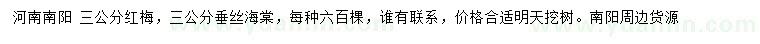 求購3公分紅梅、垂絲海棠