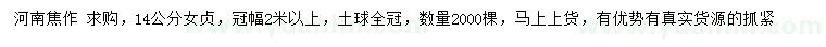求購(gòu)14公分女貞，