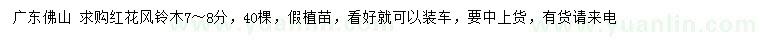 求購(gòu)7-8公分紅花風(fēng)鈴木
