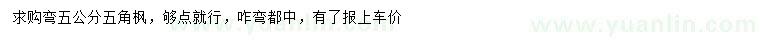 求購5公分五角楓