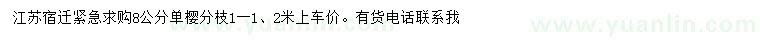 求購8公分單櫻