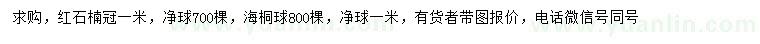 求購冠幅1米紅石楠球、海桐球