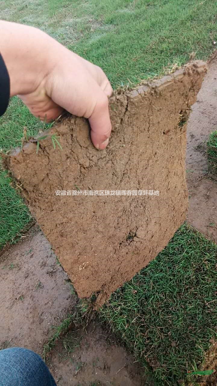 百慕大