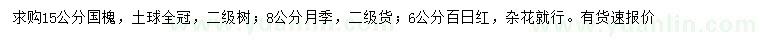 求購國槐、月季、百日紅