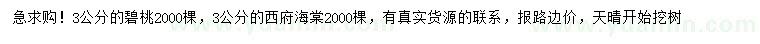 求購3公分碧桃、西府海棠