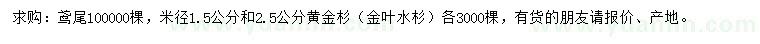 求購鳶尾、米徑1.5、2.5公分黃金杉（金葉水杉）