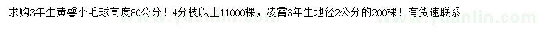 求購高度80公分黃馨小毛球、地徑2公分凌霄