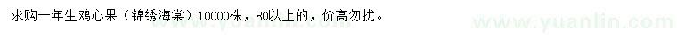 求購(gòu)80公分以上雞心果（錦繡海棠）