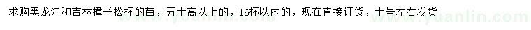 求購高50公分以上樟子松