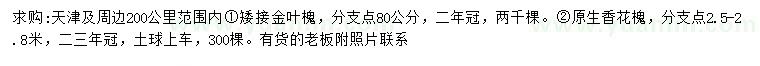 求購(gòu)矮接金葉槐、香花槐