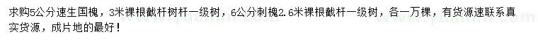 求購5公分速生國槐、6公分刺槐