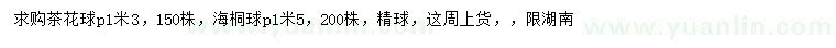 求購冠幅1.3米茶花球、1.5米海桐球