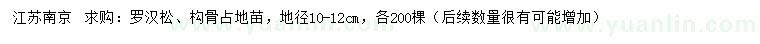 求購地徑10-12公分羅漢松、構(gòu)骨