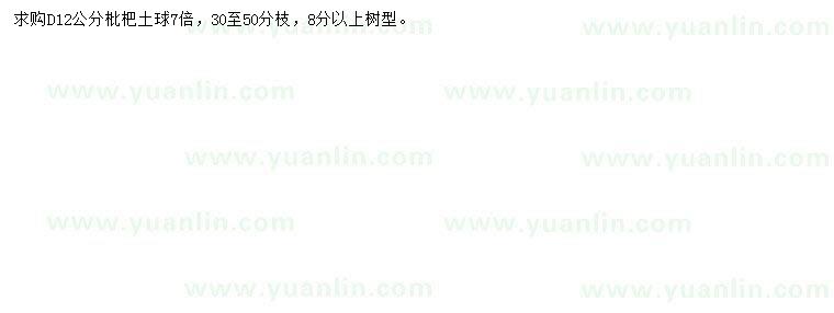 求購地徑12公分枇杷