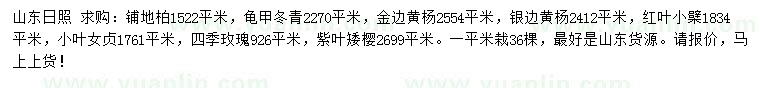 求購鋪地柏、龜甲冬青、金邊黃楊等