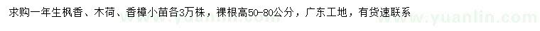 求購楓香小苗、木荷小苗、香樟小苗