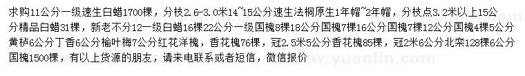 求購(gòu)速生白蠟、速生法桐、國(guó)槐等