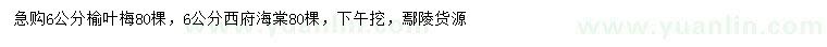 求購6公分榆葉梅、西府海棠