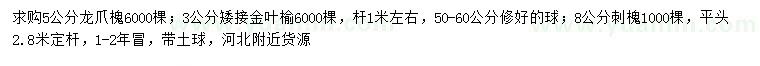 求購(gòu)龍爪槐、矮接金葉榆、刺槐